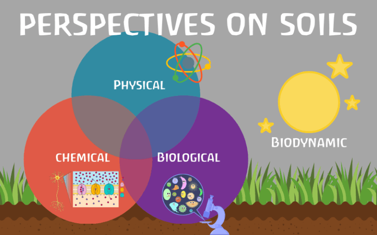 soil-physical-chemical-biological-and-biodynamic-perspectives-on