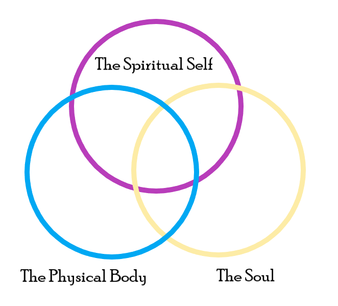 How Body Mind And Soul Interact [2023]