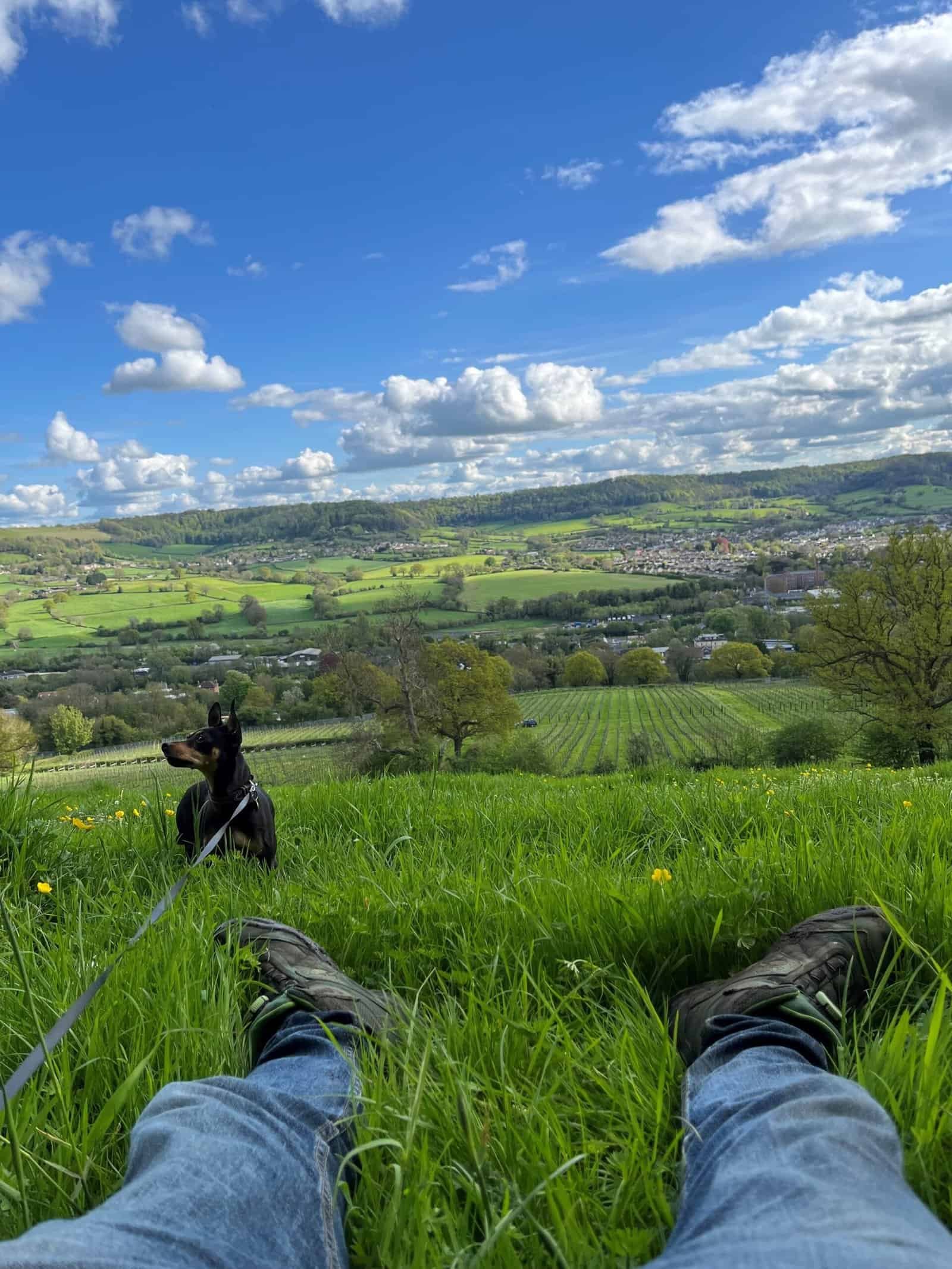 A lush green hillside view with a person relaxing, a dog sitting in the grass, and scenic countryside under a bright blue sky.
